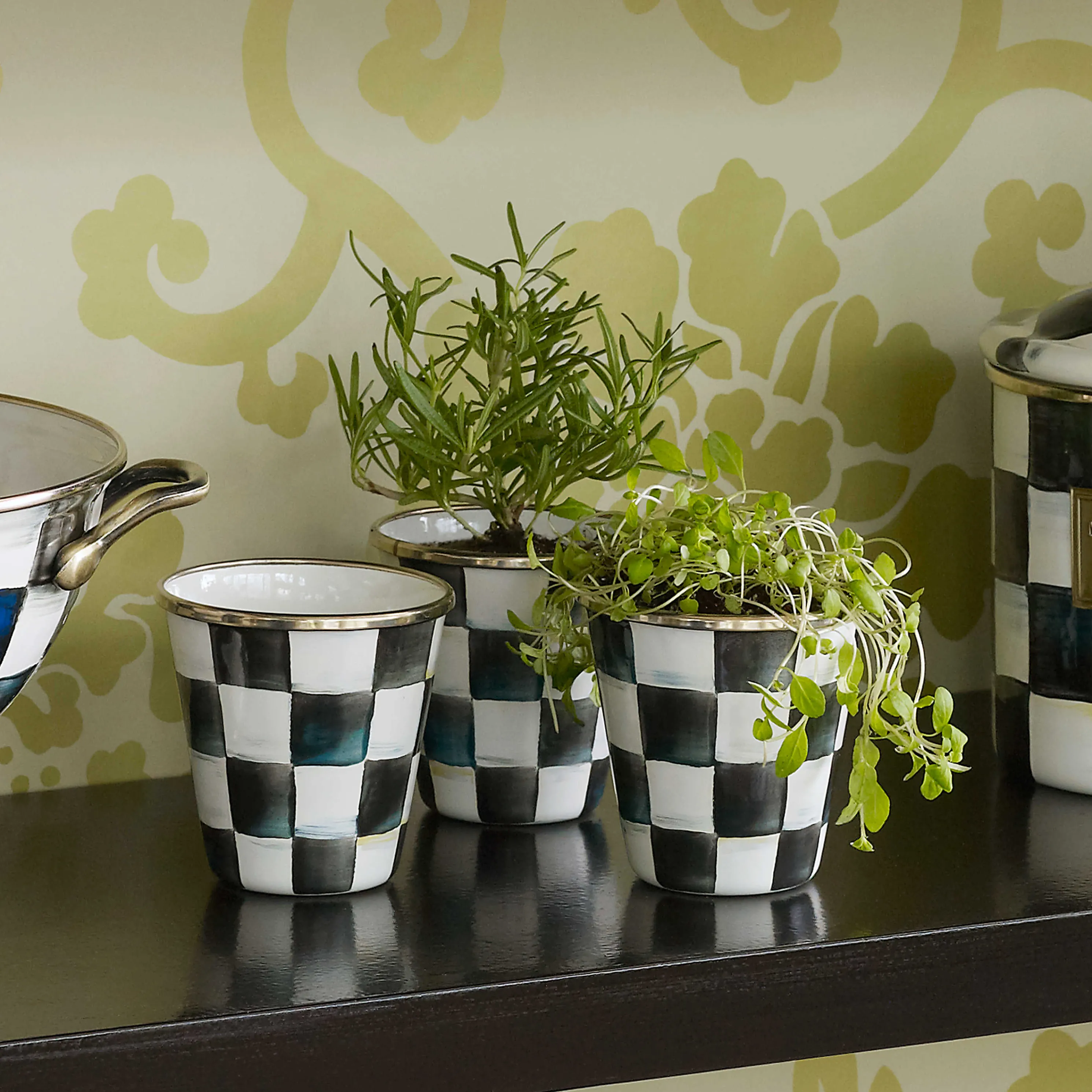 Courtly Check Enamel Herb Pots - Set Of 3