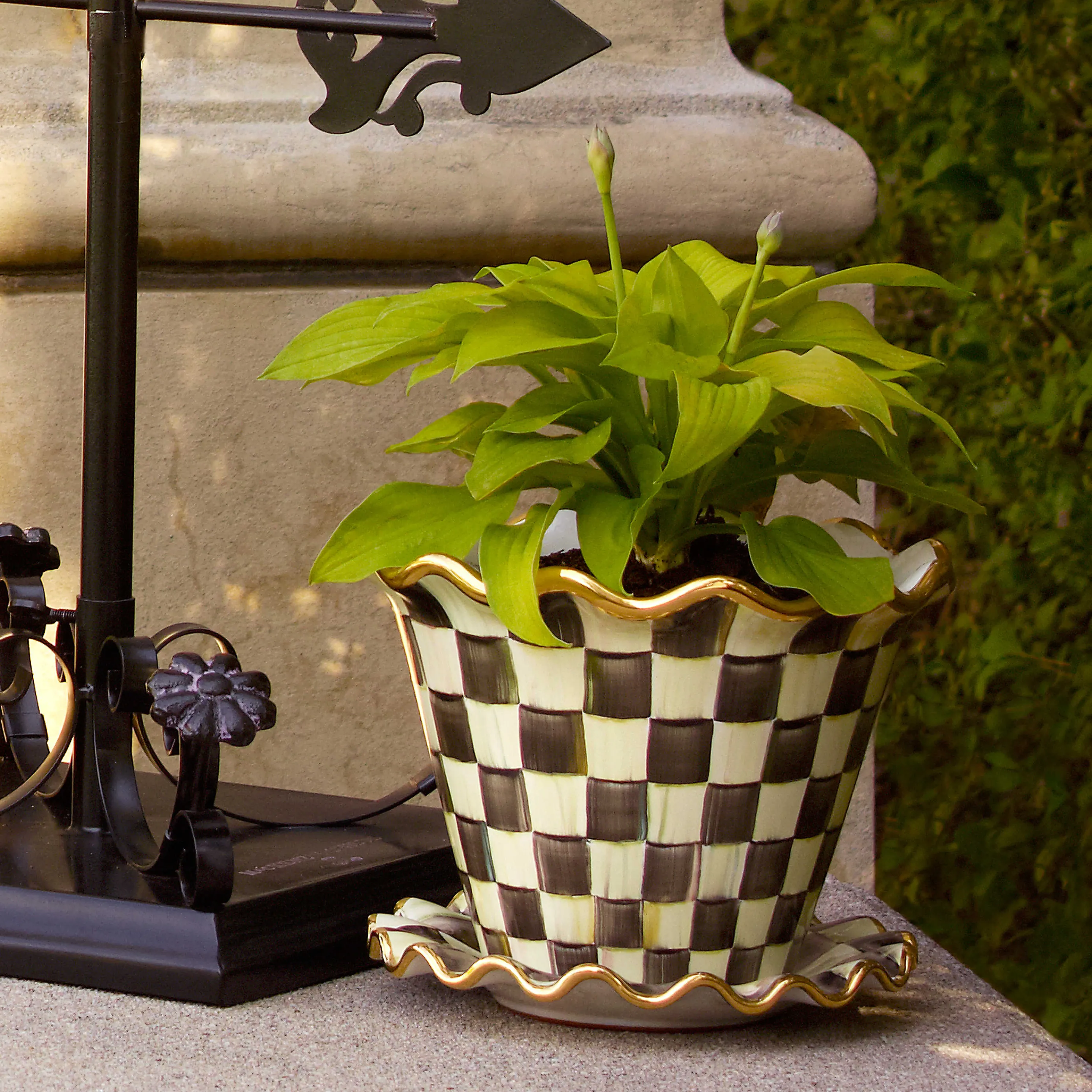 Courtly Check Garden Pot - 8"