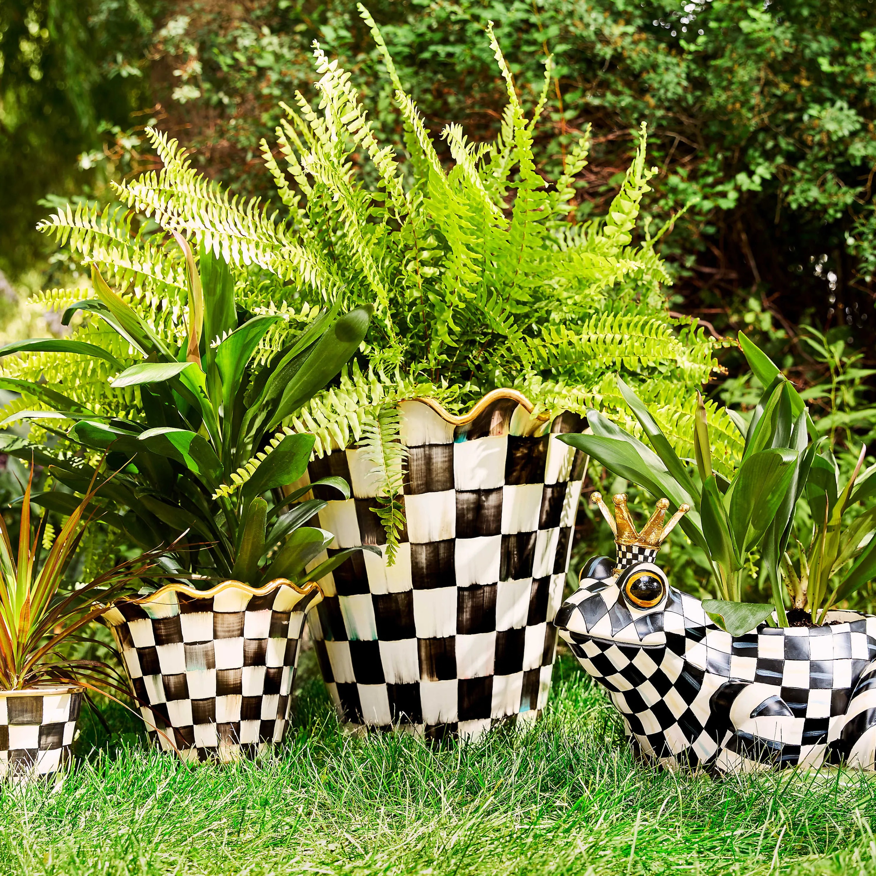 Courtly Check Garden Pot - 8"