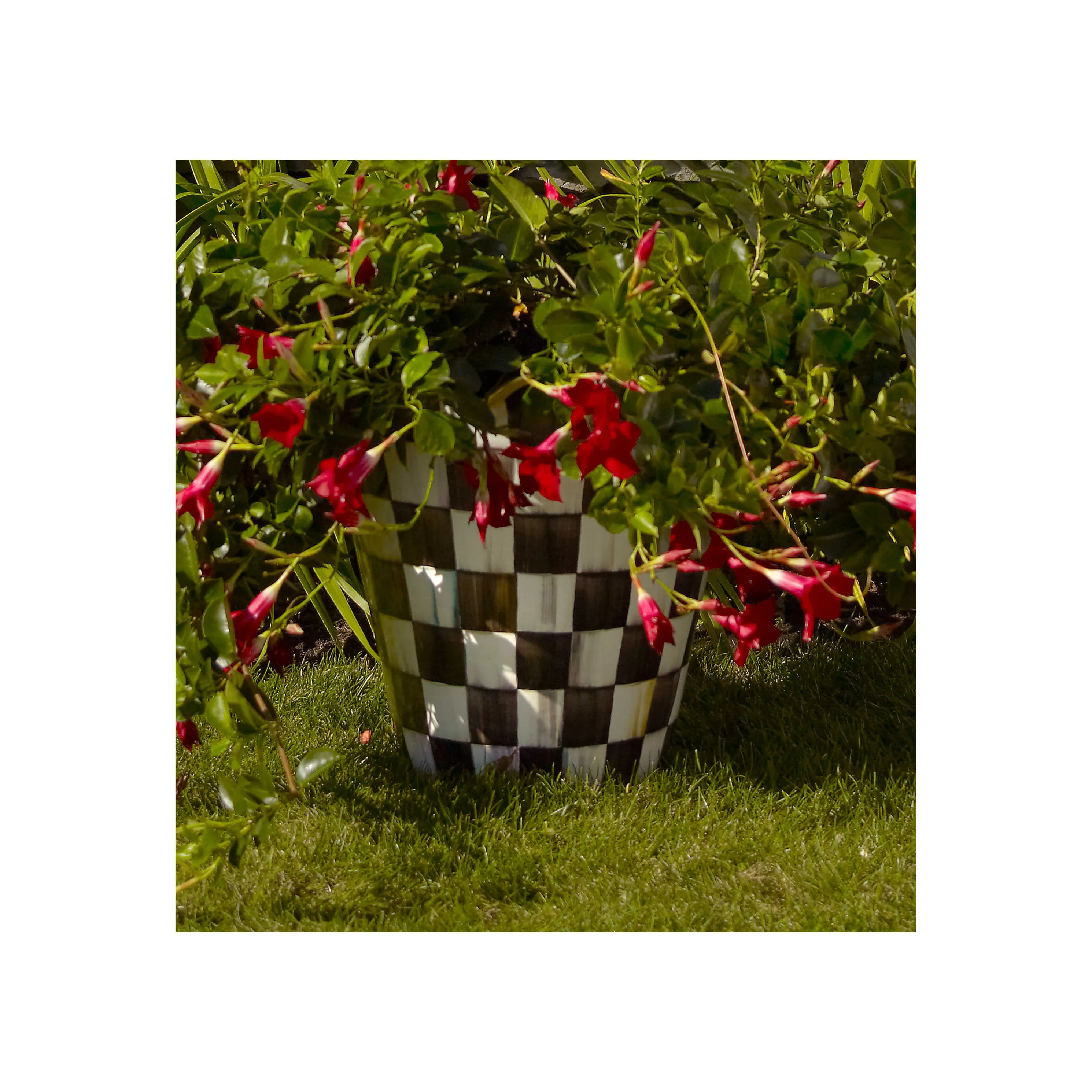 Courtly Check Jumbo Garden Pot