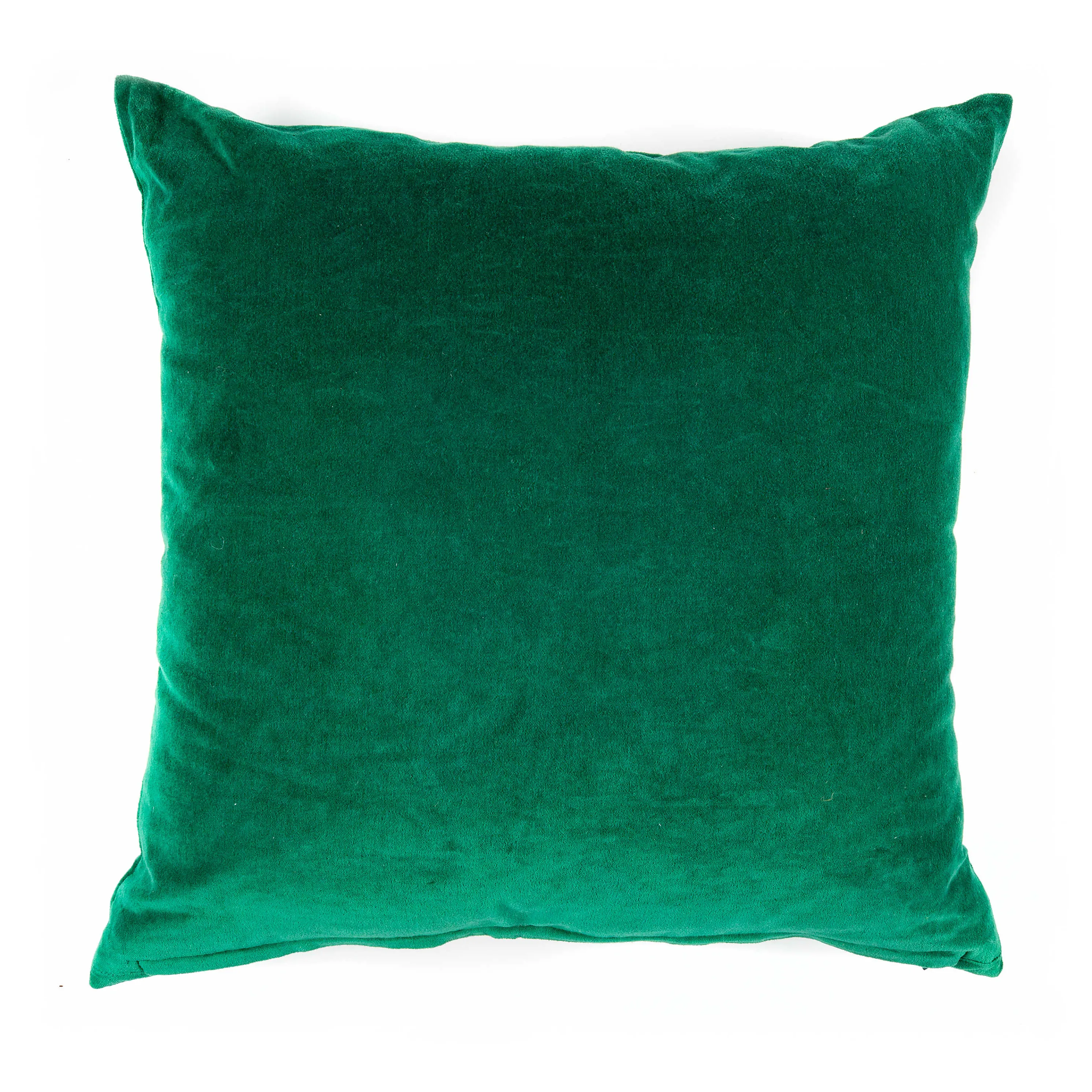 Emerald Butterfly Pillow