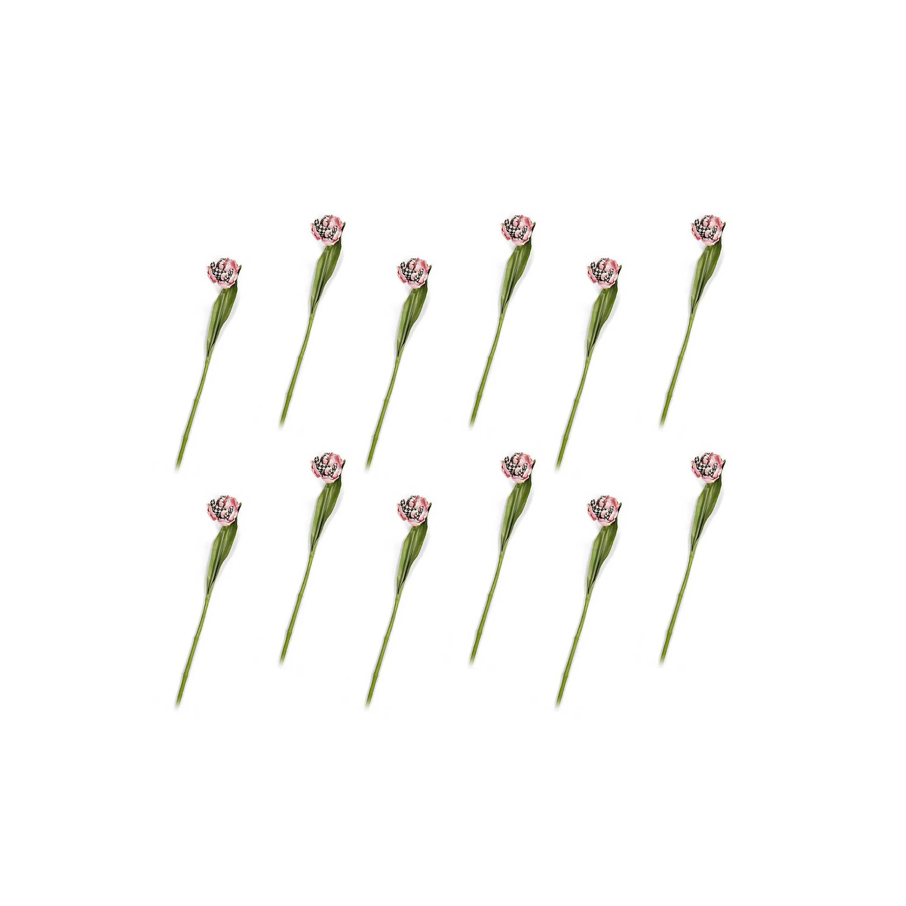Parrot Tulip Bouquet - Pink - Set Of 12