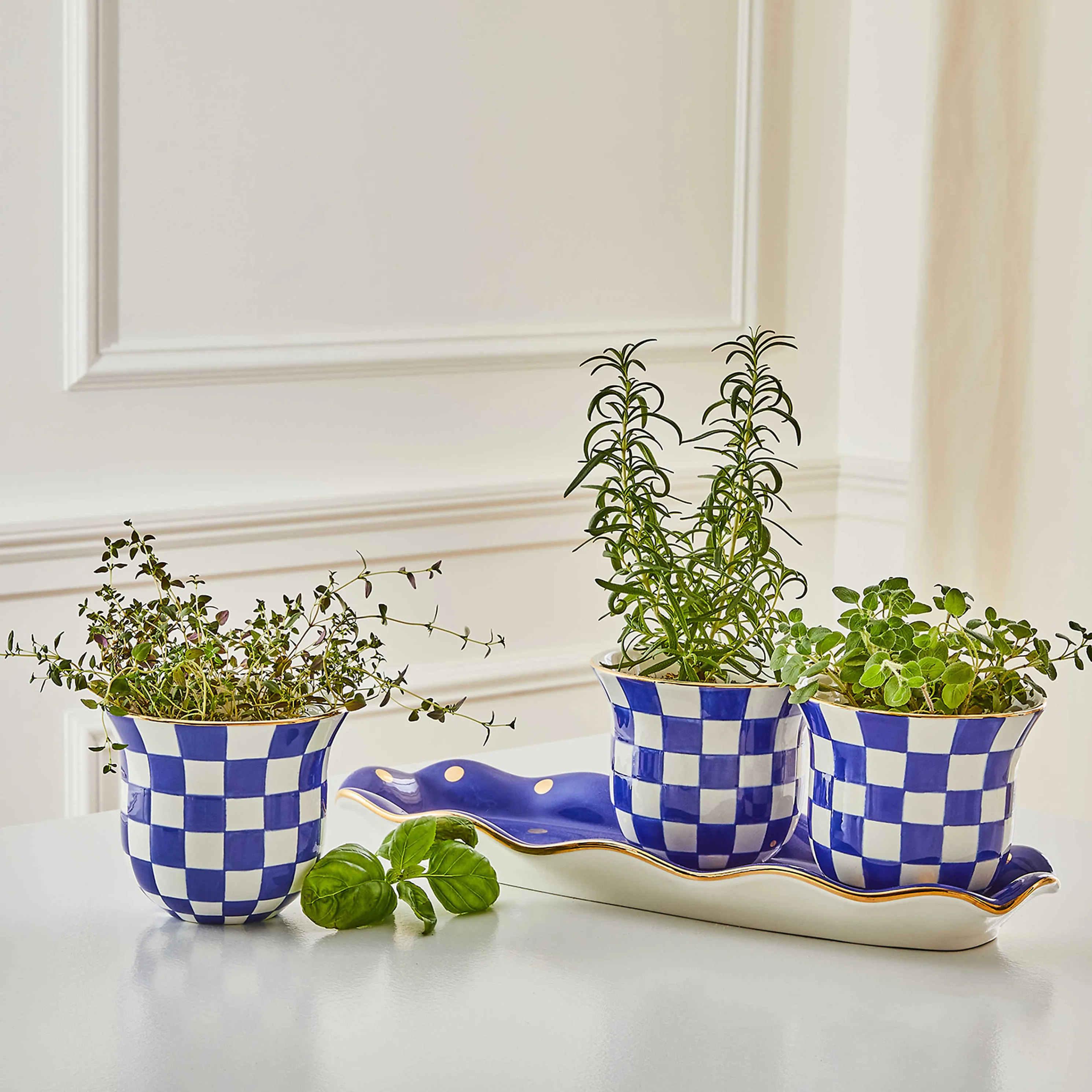 Royal Check Herb Garden Set